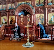 WhatsApp Image 2021-03-17 at 19.09.04.jpeg